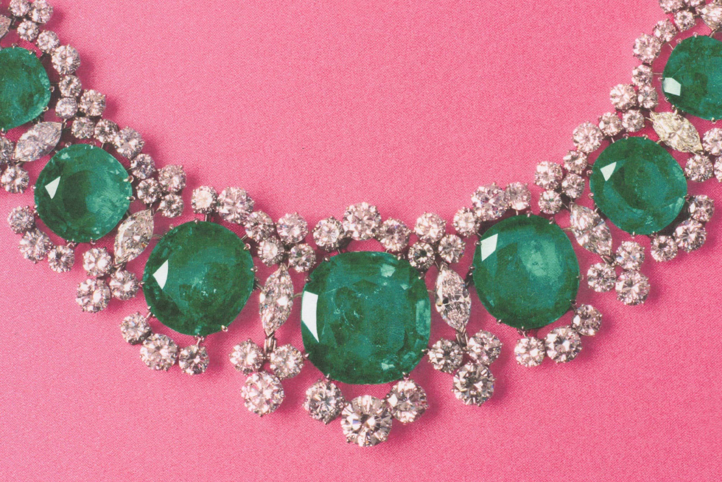 Illustration créée par Mathilde Robert graphiste professionnelle freelance