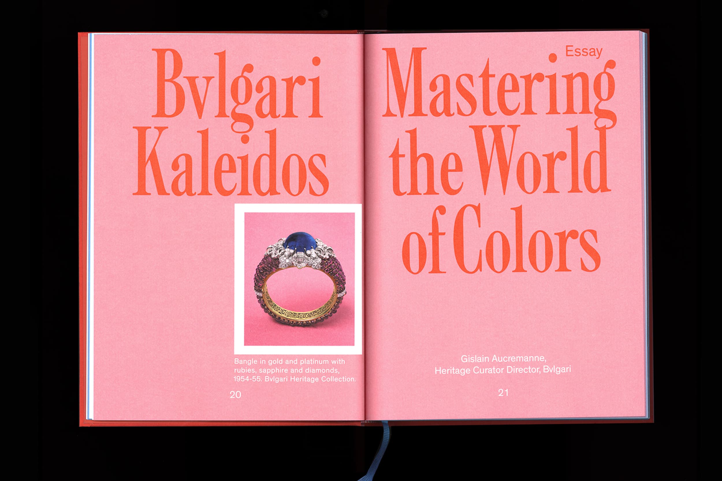 Illustration créée par Mathilde Robert graphiste professionnelle freelance