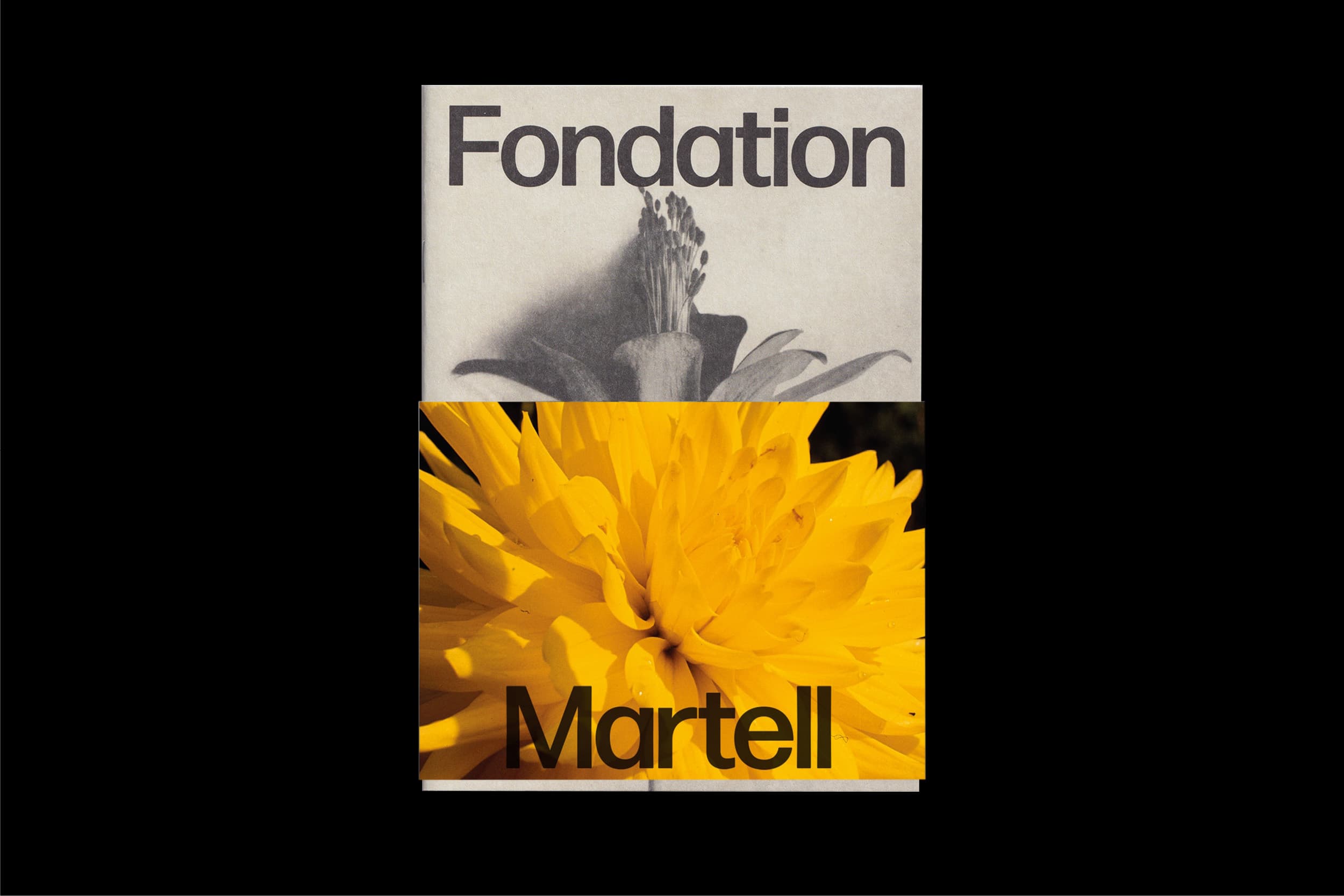 Illustration créée par Mathilde Robert graphiste professionnelle freelance