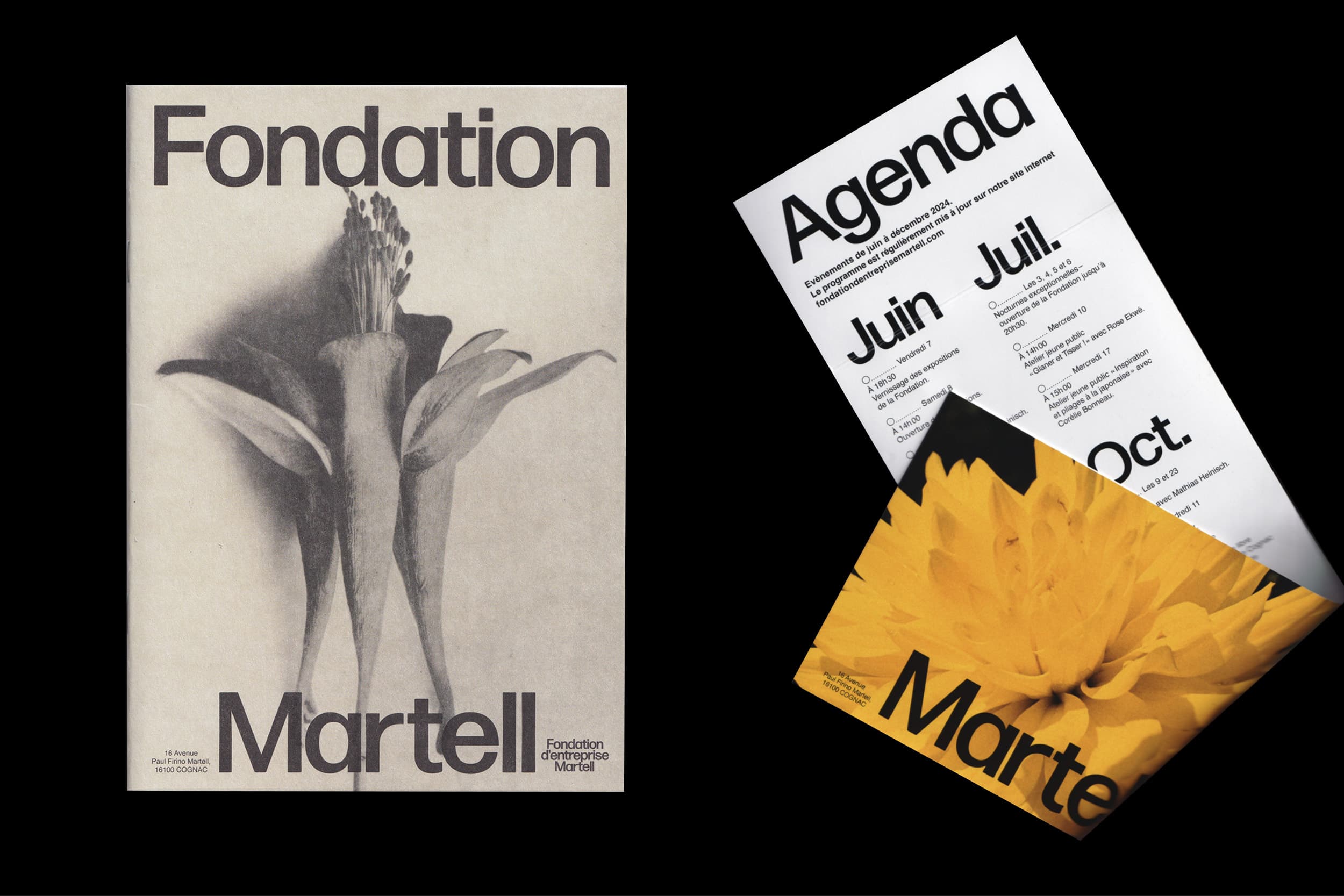 Illustration créée par Mathilde Robert graphiste professionnelle freelance