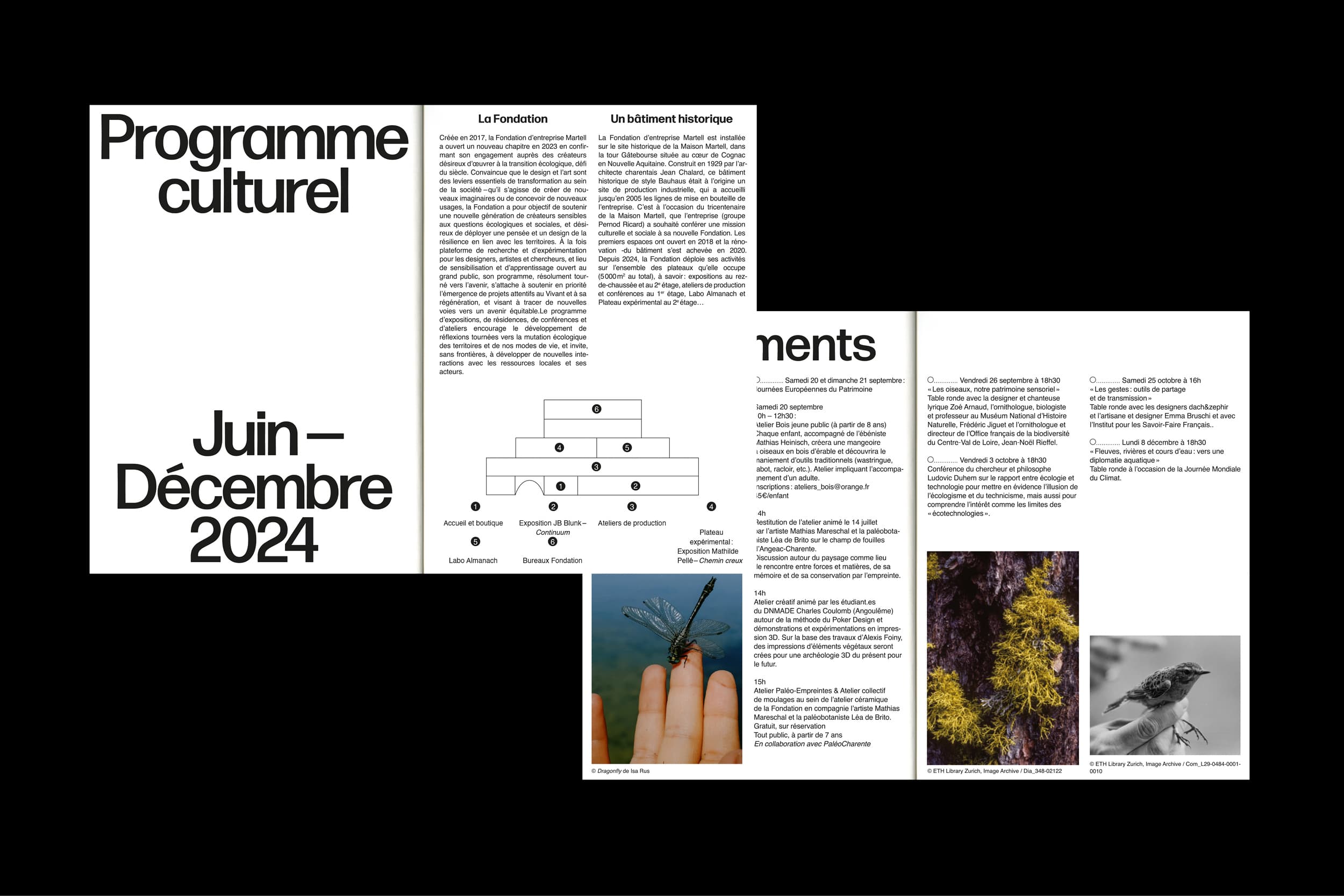 Illustration créée par Mathilde Robert graphiste professionnelle freelance