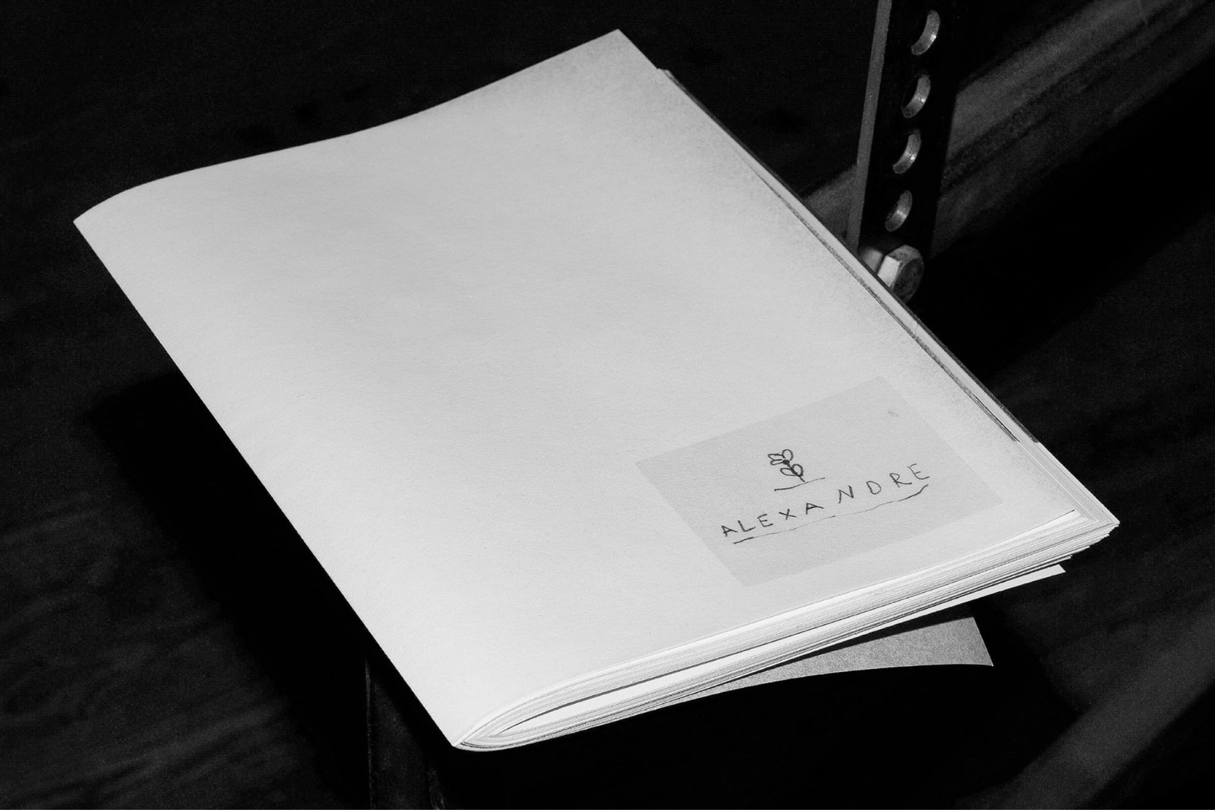 Illustration créée par Mathilde Robert graphiste professionnelle freelance