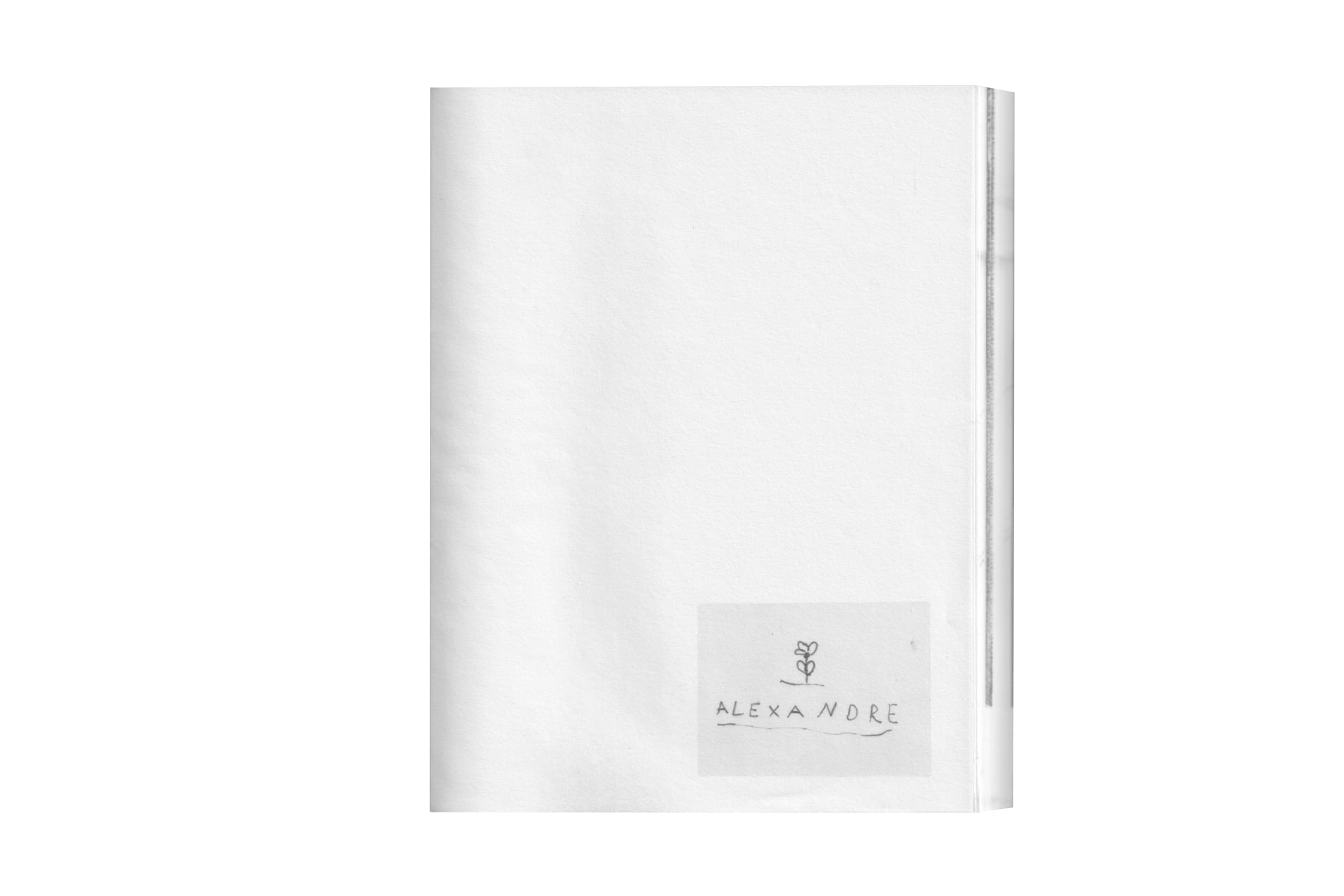 Illustration créée par Mathilde Robert graphiste professionnelle freelance