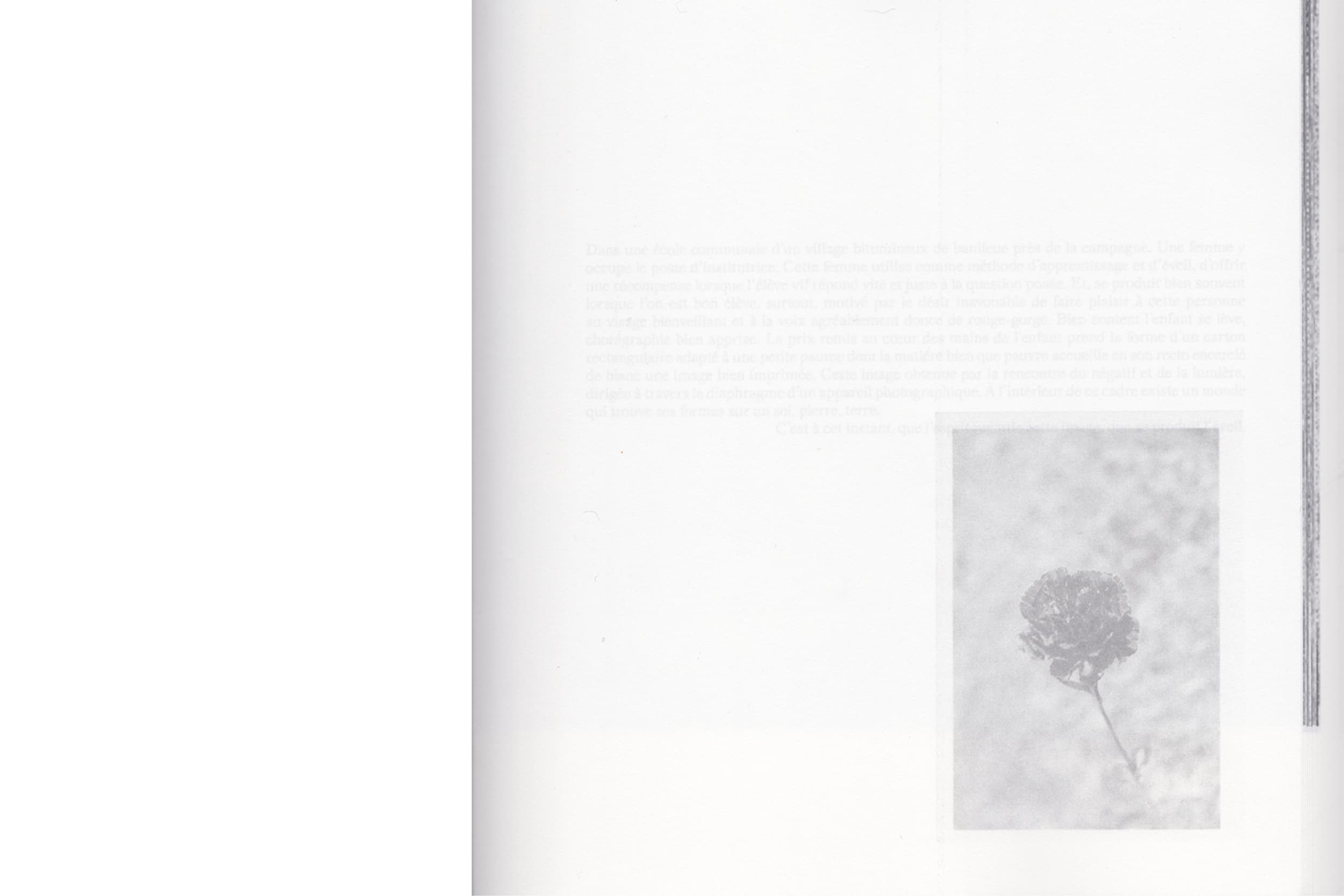 Illustration créée par Mathilde Robert graphiste professionnelle freelance