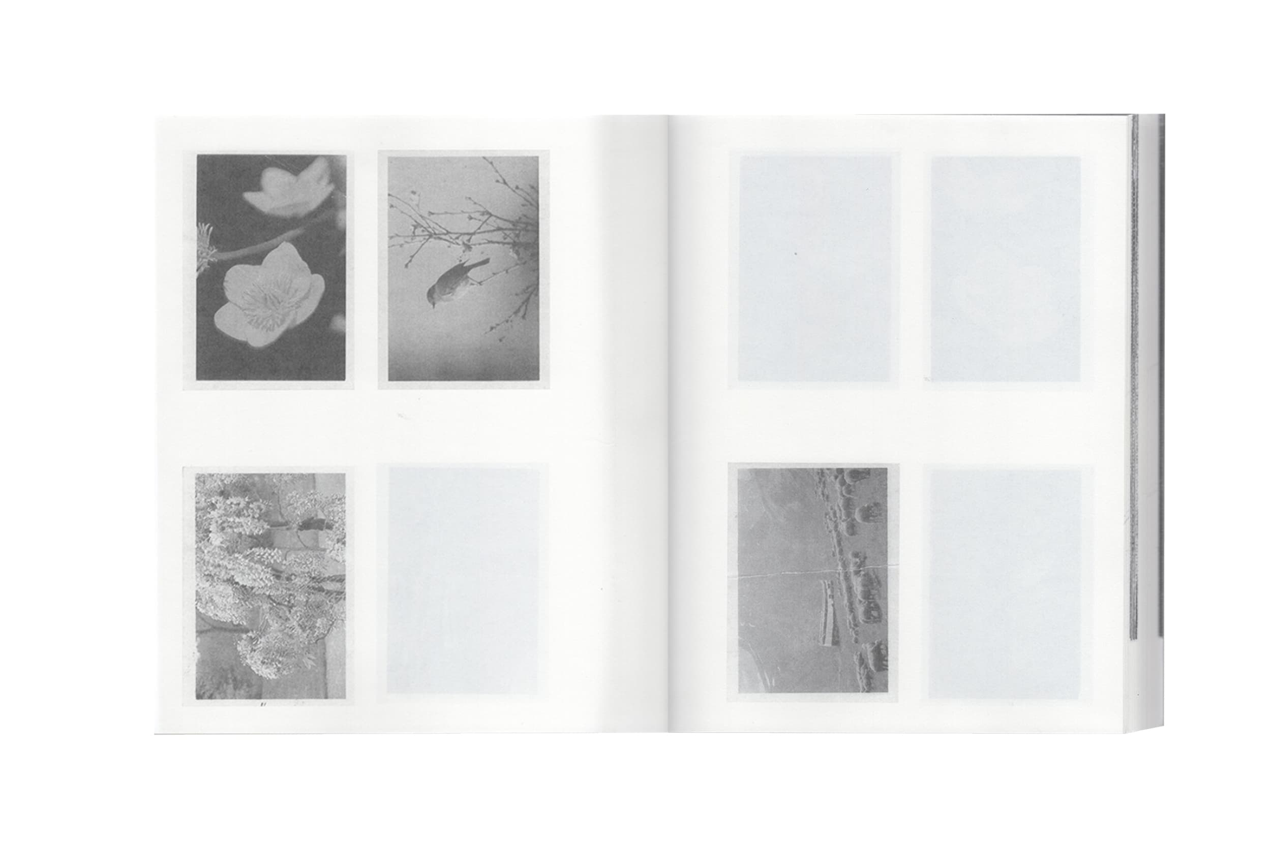 Illustration créée par Mathilde Robert graphiste professionnelle freelance