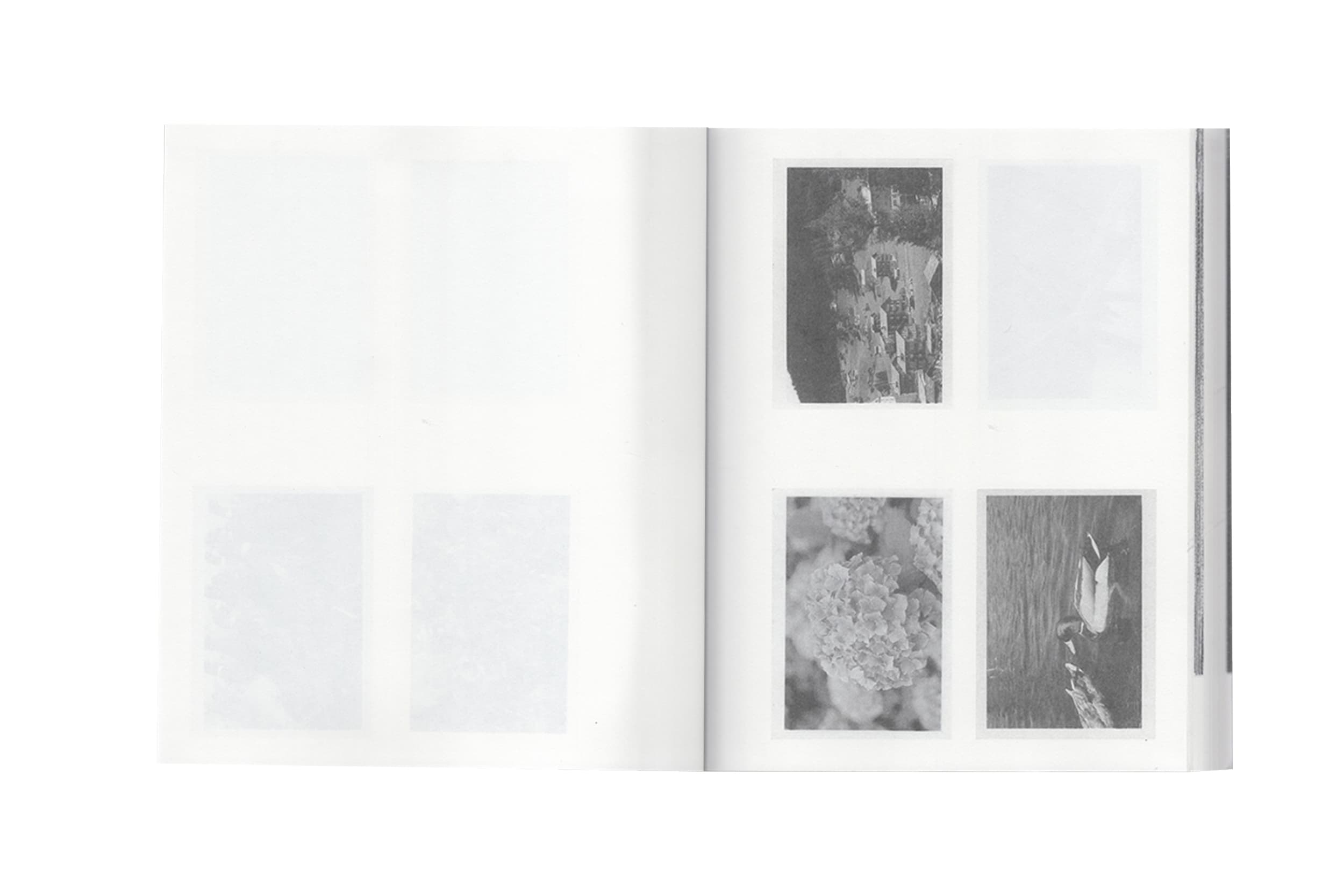 Illustration créée par Mathilde Robert graphiste professionnelle freelance