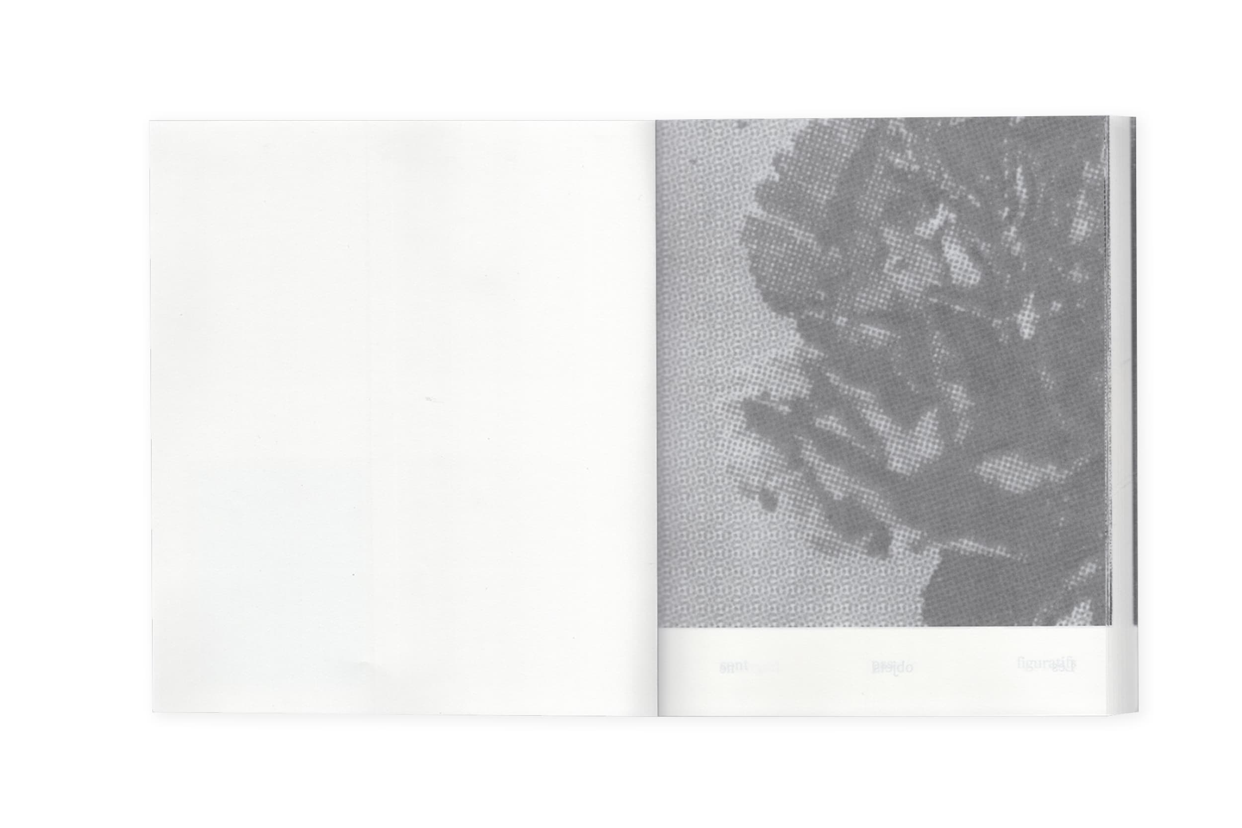 Illustration créée par Mathilde Robert graphiste professionnelle freelance