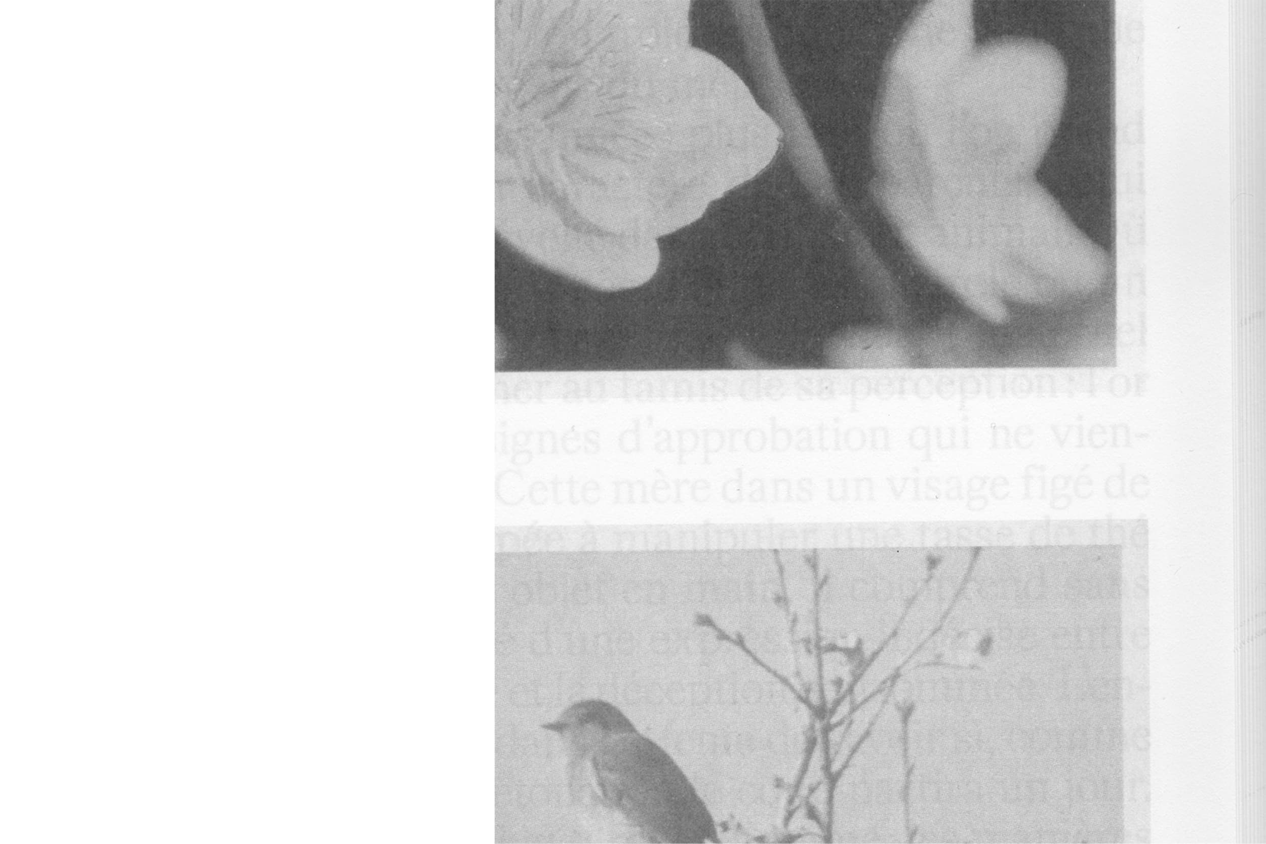 Illustration créée par Mathilde Robert graphiste professionnelle freelance