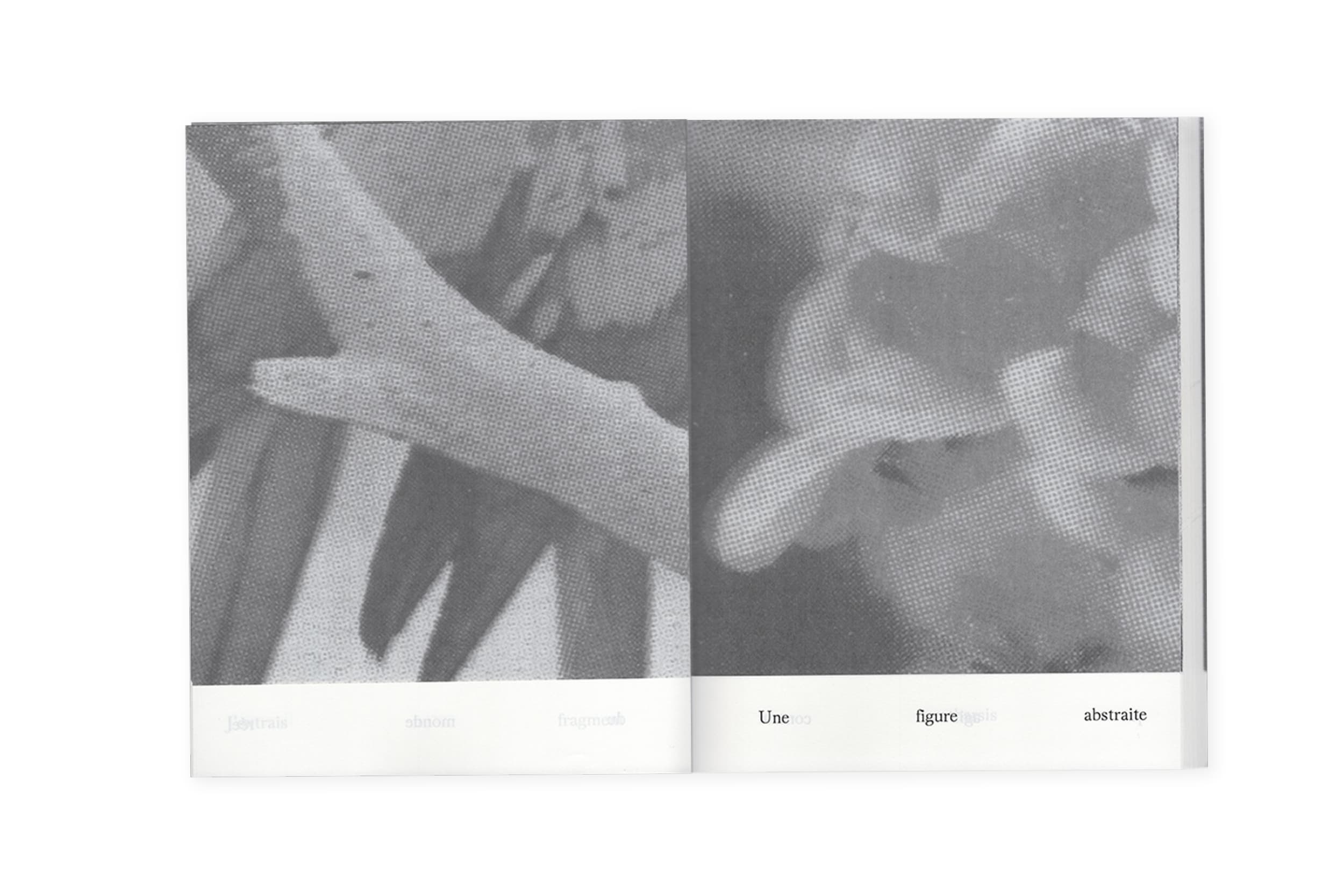 Illustration créée par Mathilde Robert graphiste professionnelle freelance