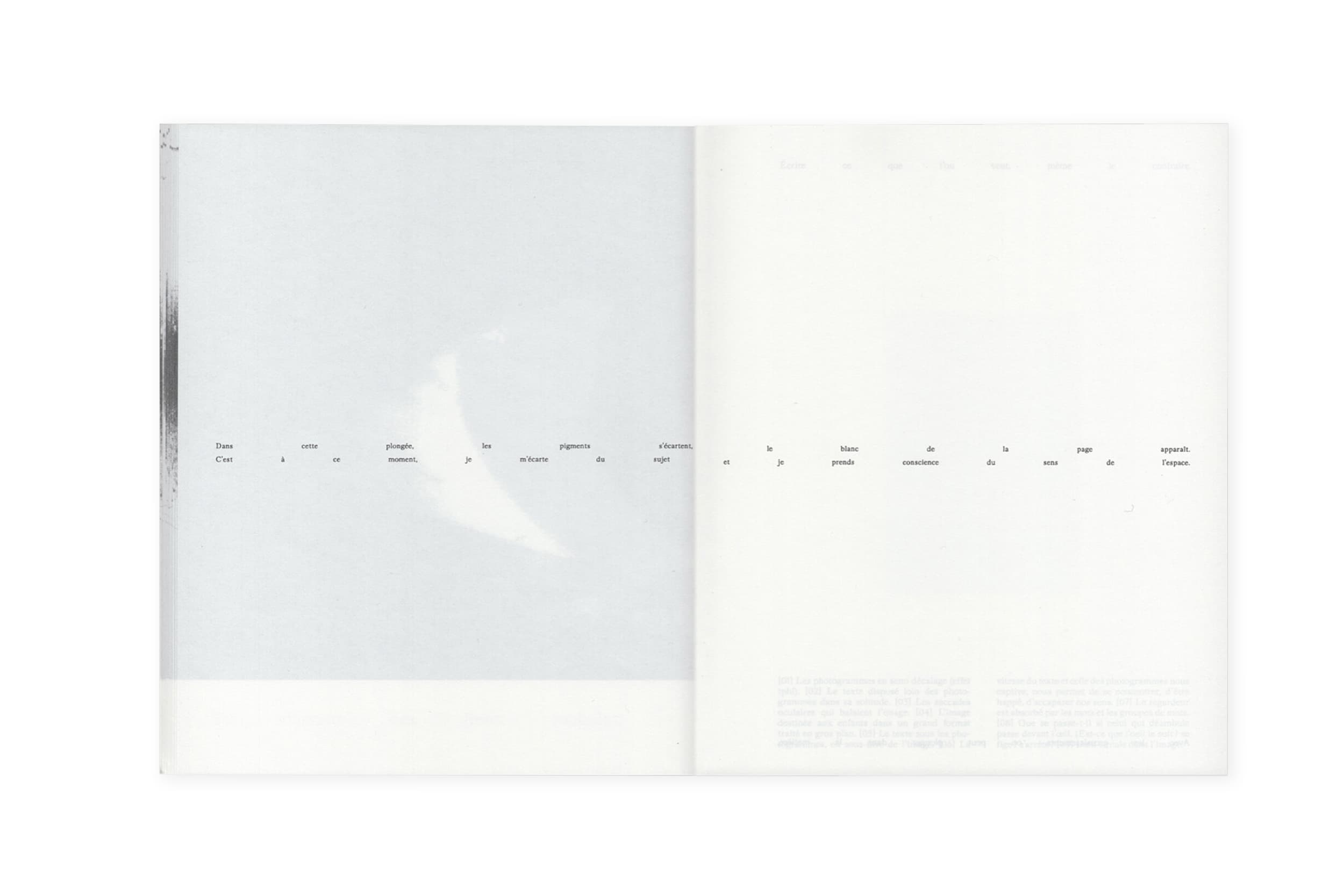 Illustration créée par Mathilde Robert graphiste professionnelle freelance