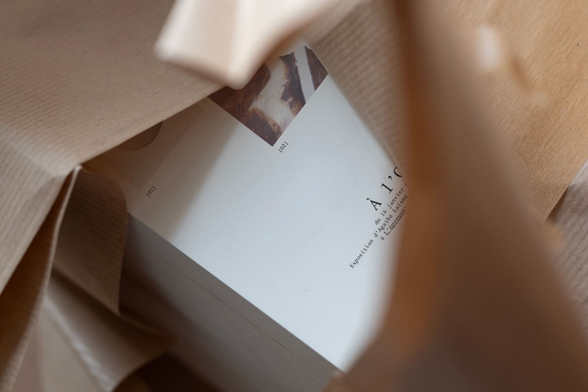 Illustration créée par Mathilde Robert graphiste professionnelle freelance