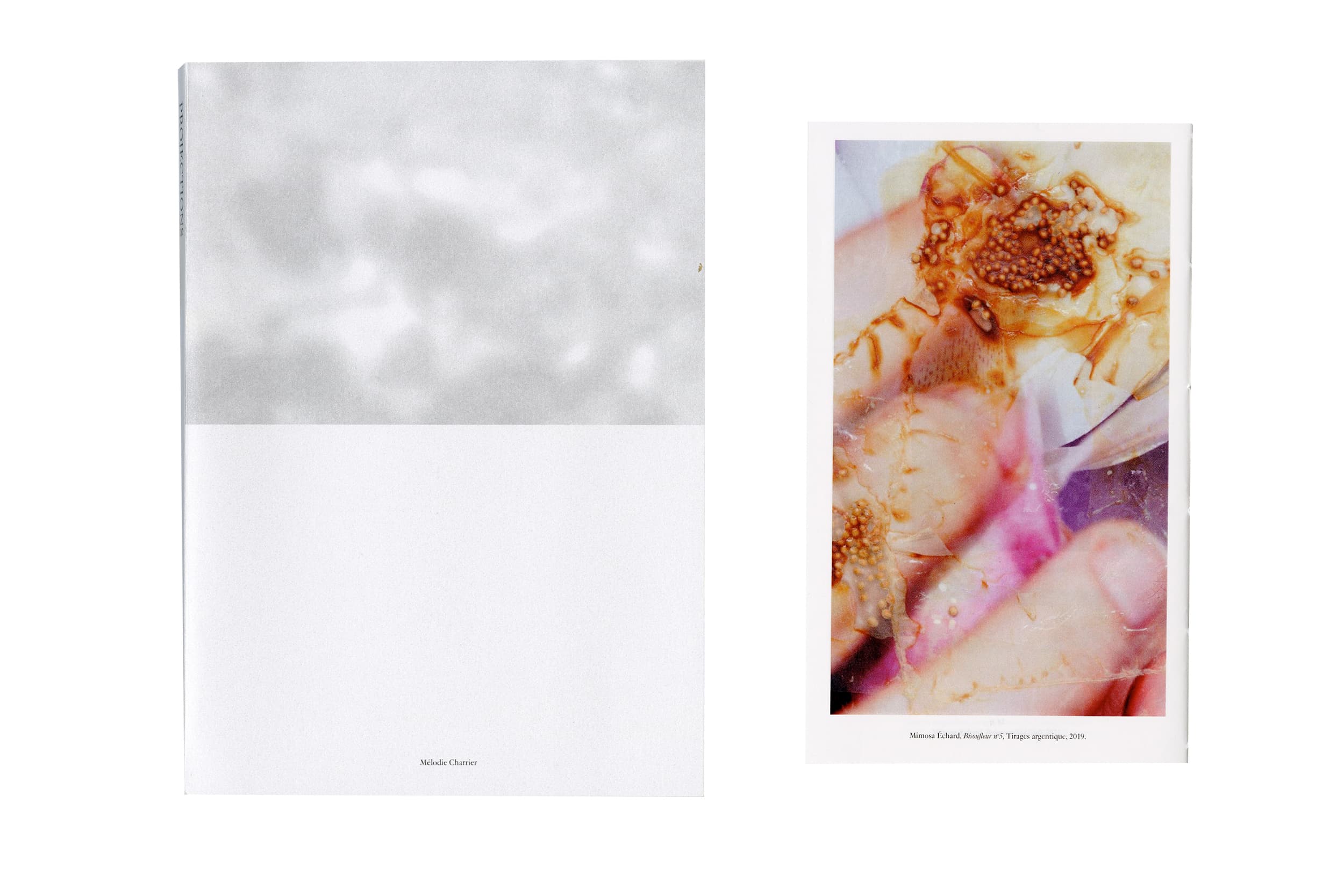 Illustration créée par Mathilde Robert graphiste professionnelle freelance