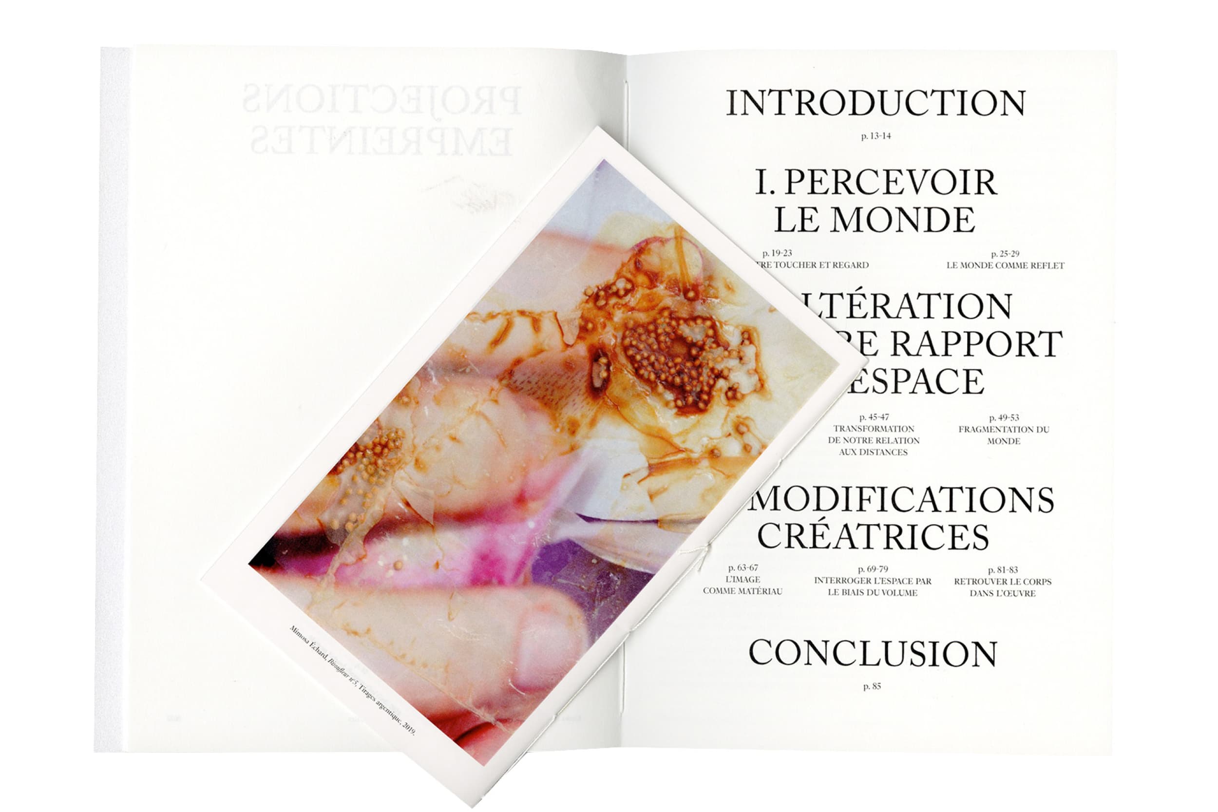 Illustration créée par Mathilde Robert graphiste professionnelle freelance