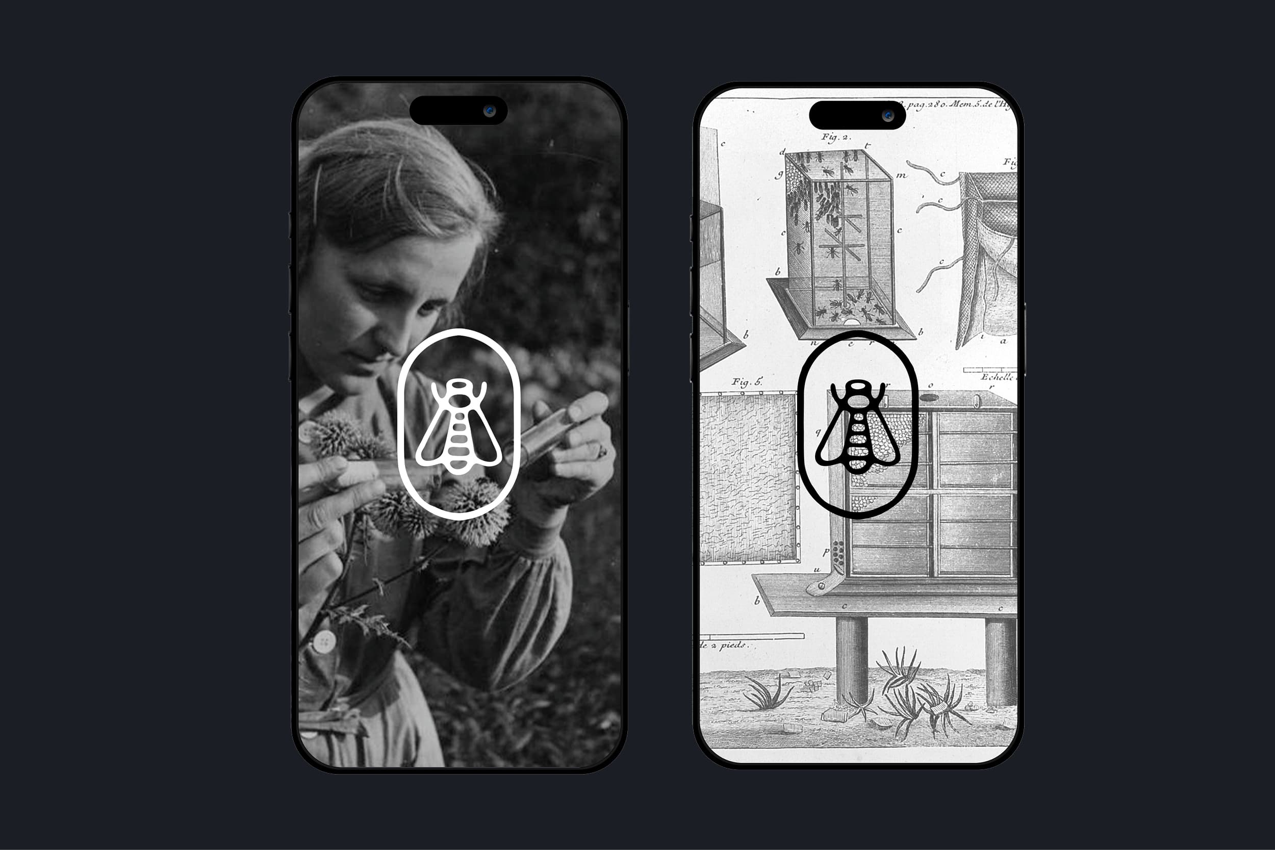 Illustration créée par Mathilde Robert graphiste professionnelle freelance