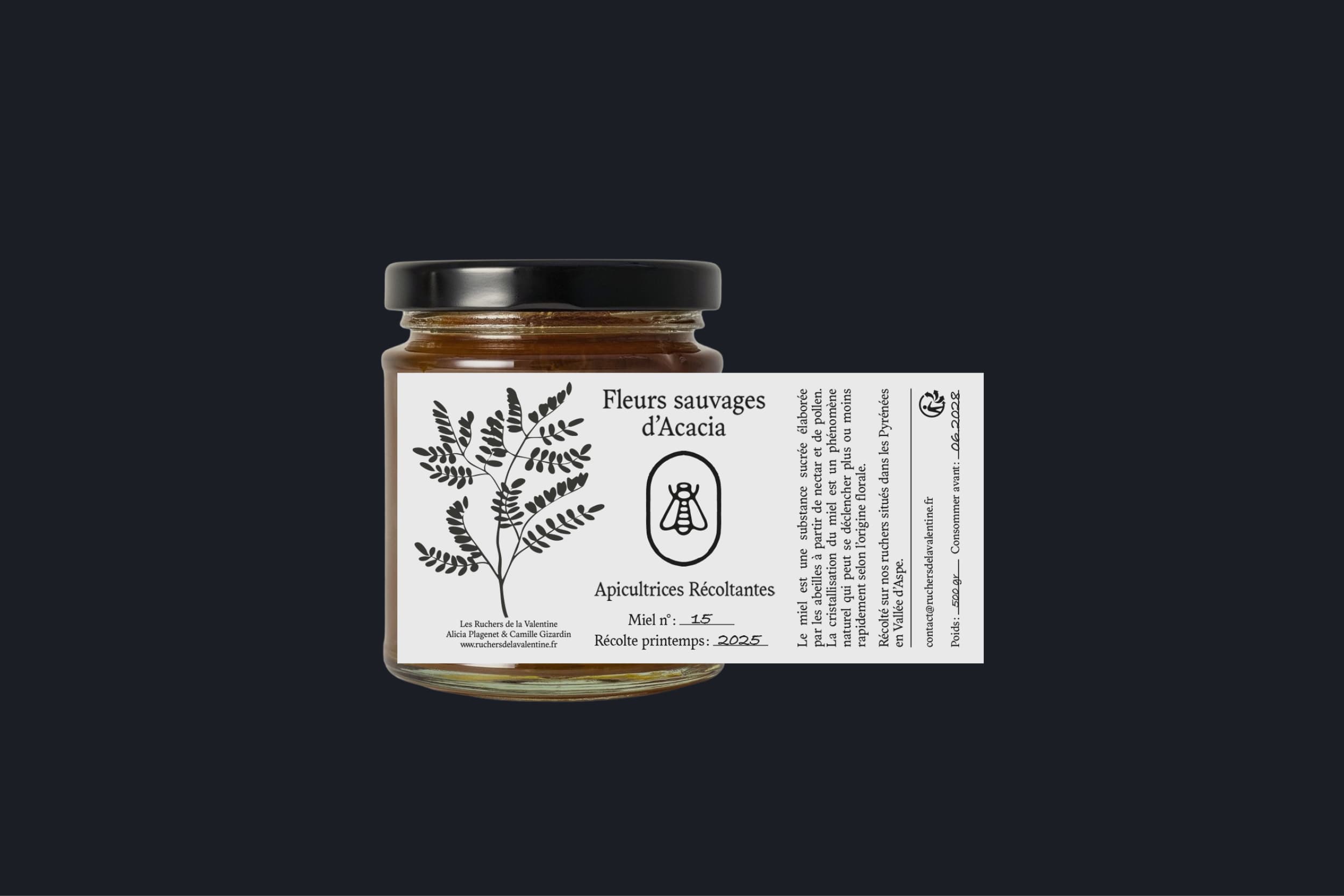 Illustration créée par Mathilde Robert graphiste professionnelle freelance