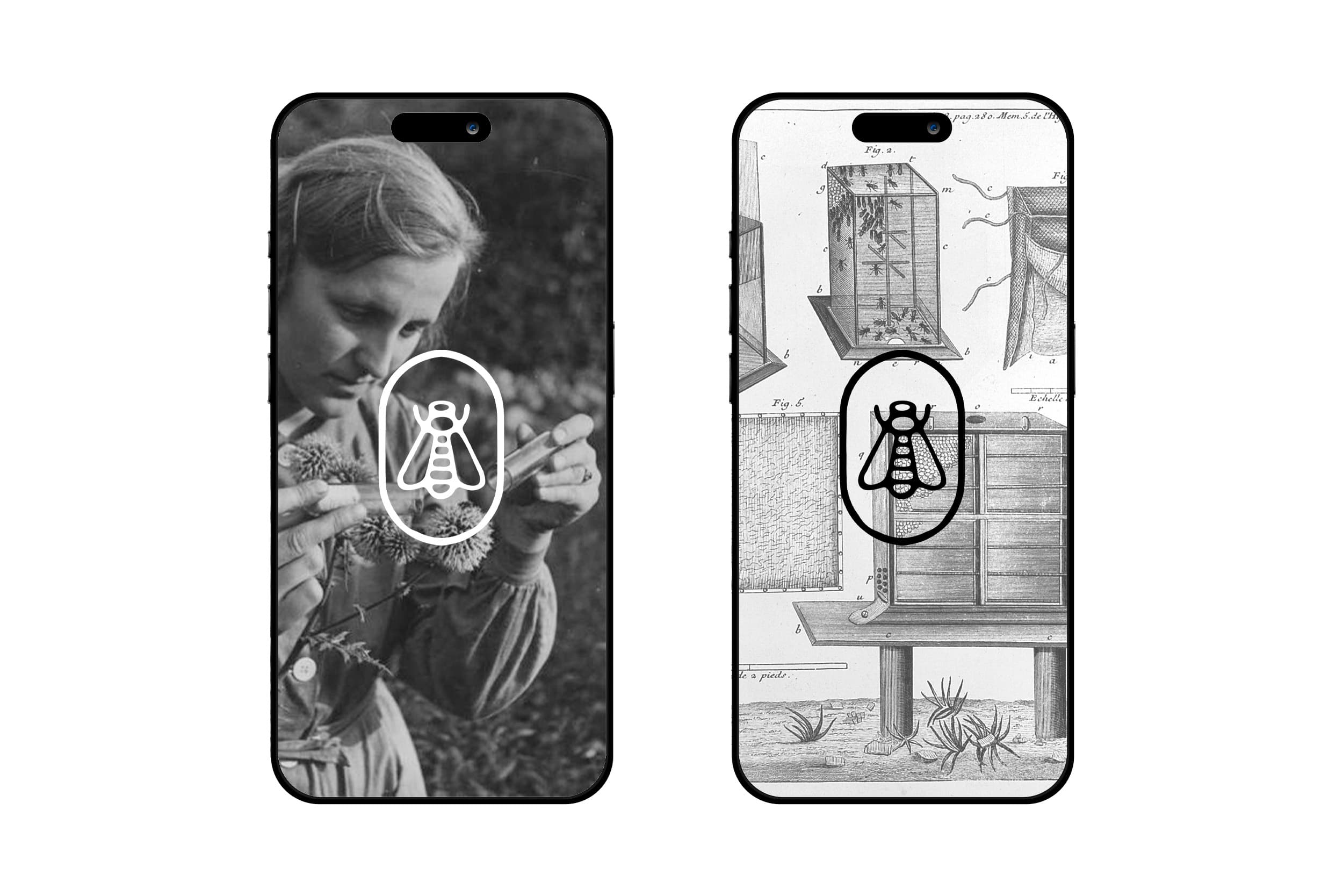 Illustration créée par Mathilde Robert graphiste professionnelle freelance