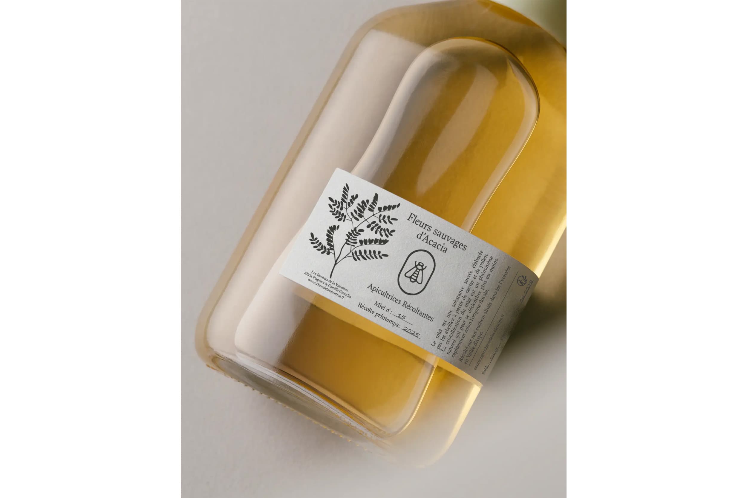 Illustration créée par Mathilde Robert graphiste professionnelle freelance