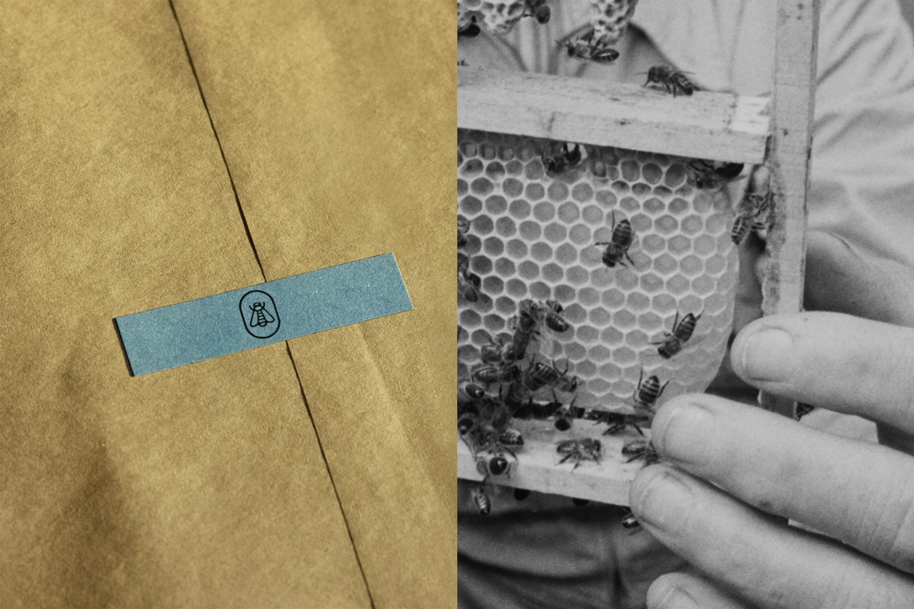 Illustration créée par Mathilde Robert graphiste professionnelle freelance