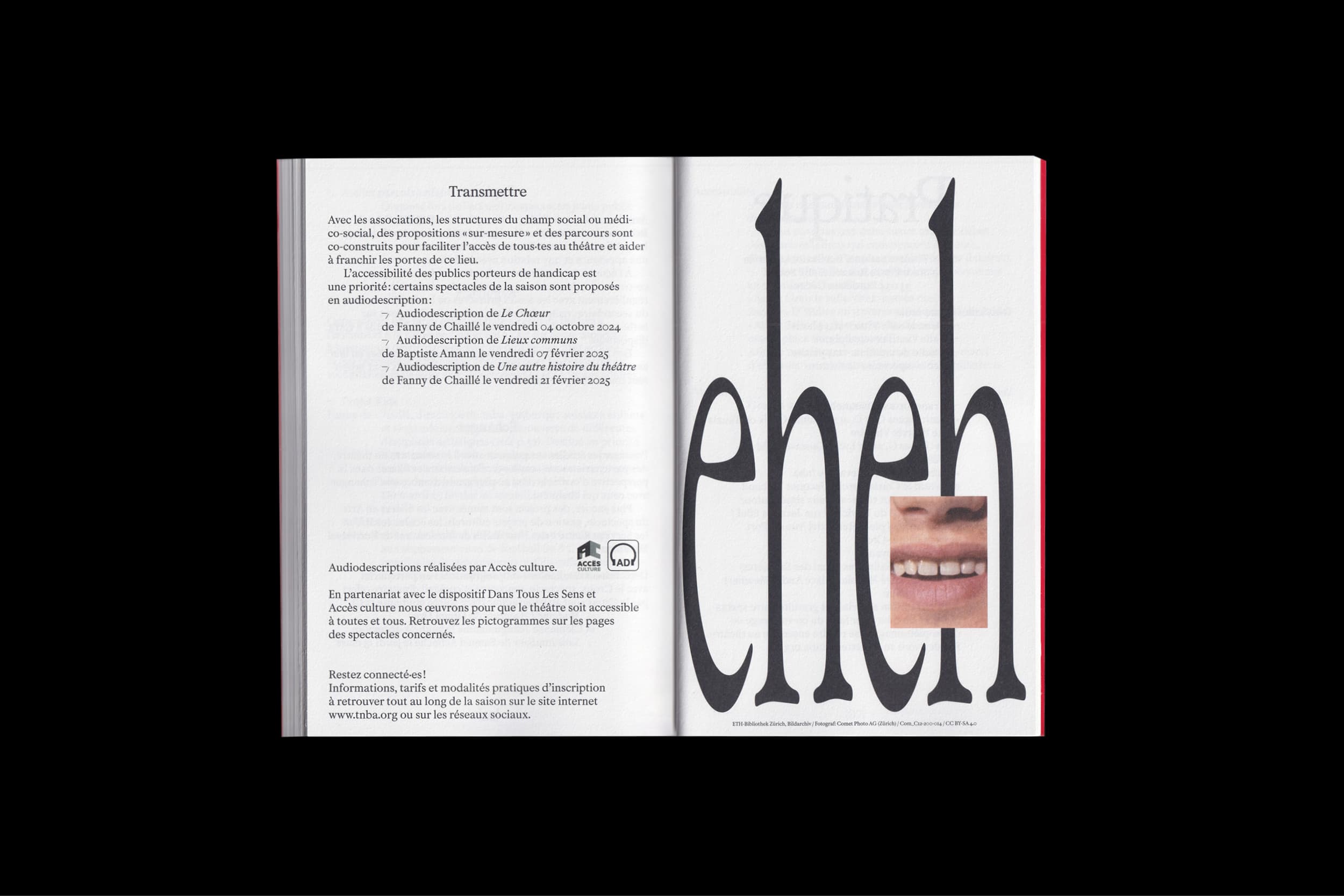 Illustration créée par Mathilde Robert graphiste professionnelle freelance