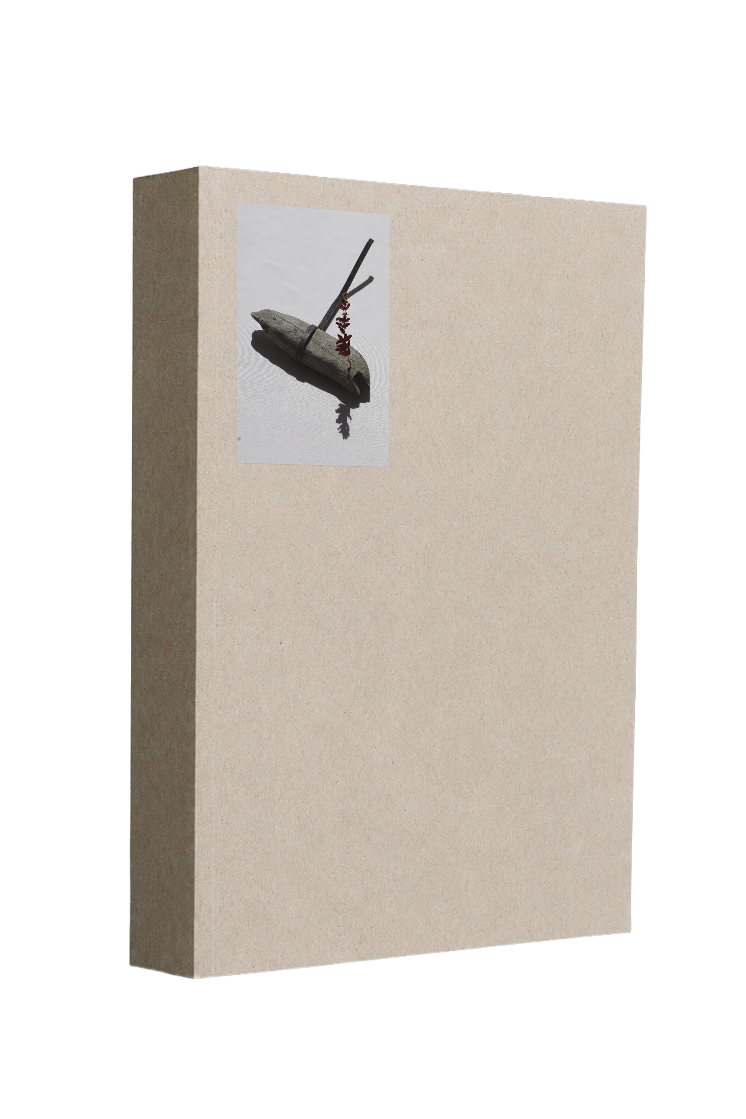 geste de collecte